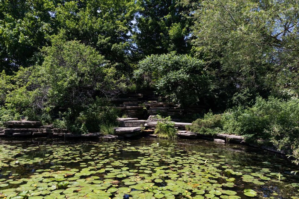 Alfred Caldwell Lily Pool