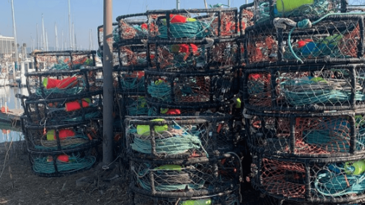 Alice Wertz/KCBS Radio