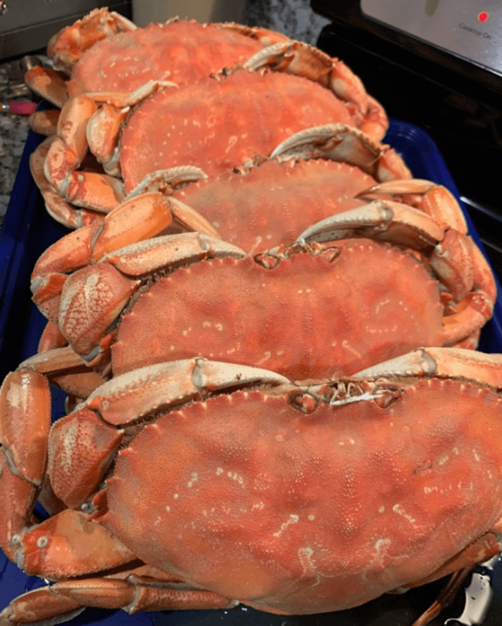 Alice Wertz/KCBS Radio