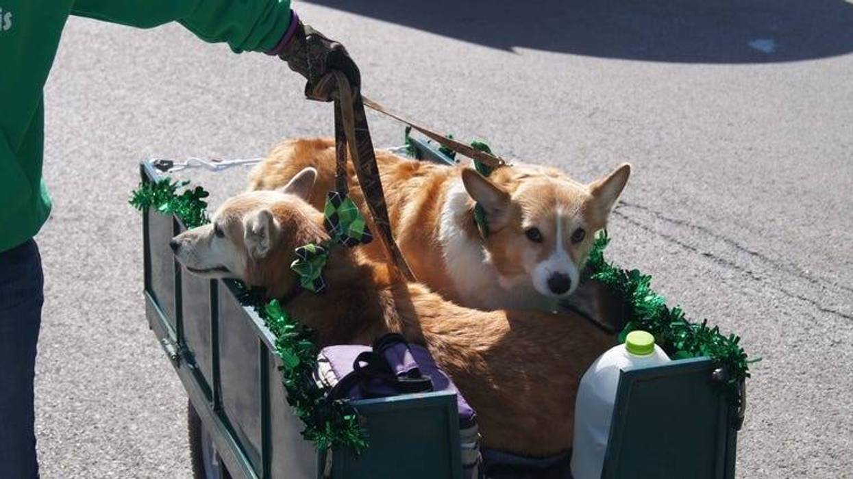 All IRISH for the annual St. Patrick's Day Parade