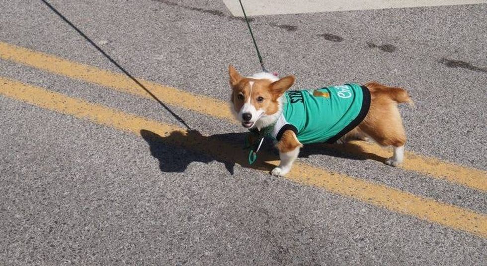 All IRISH for the annual St. Patrick's Day Parade