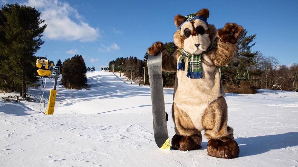 Allegheny County Parks Mascot