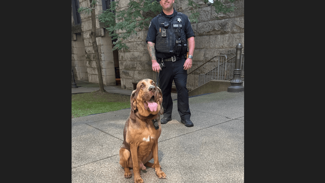 Allegheny County Sheriff K9 Ranger and his handler Deputy Jeff Belback