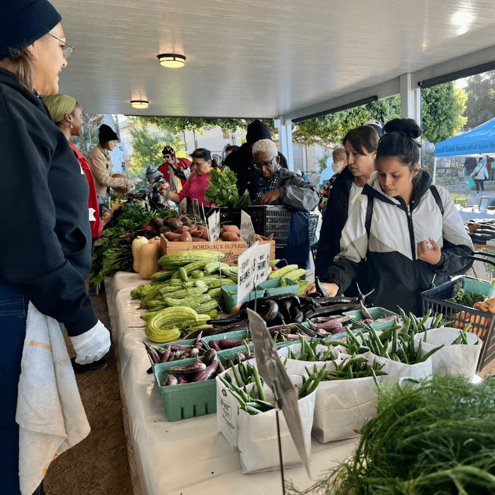 ALMA Farm stand