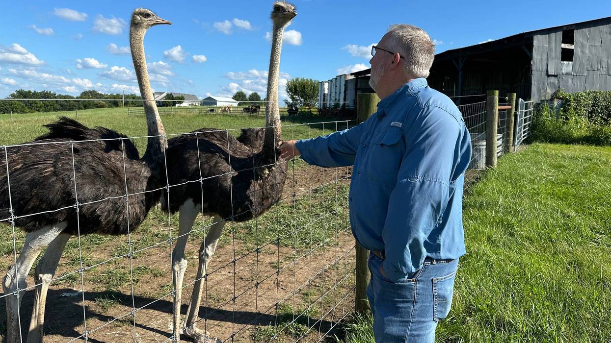 Alpha-Gal-Ostrich Meat