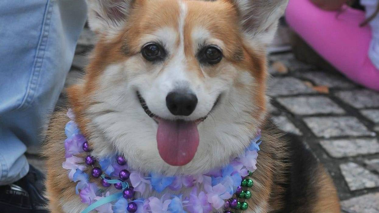 Amazing weather for first parade weekend