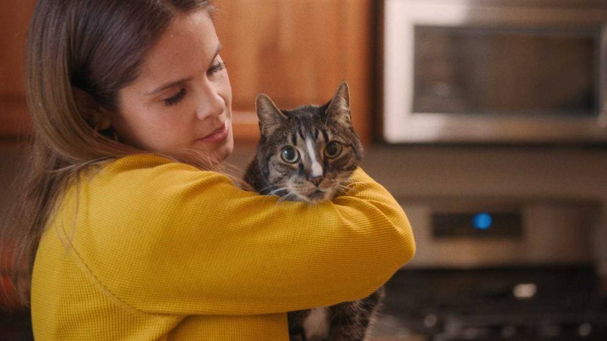 American Cats Movie
