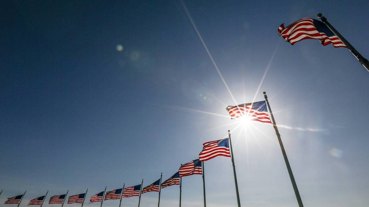 American flags in the sunshine