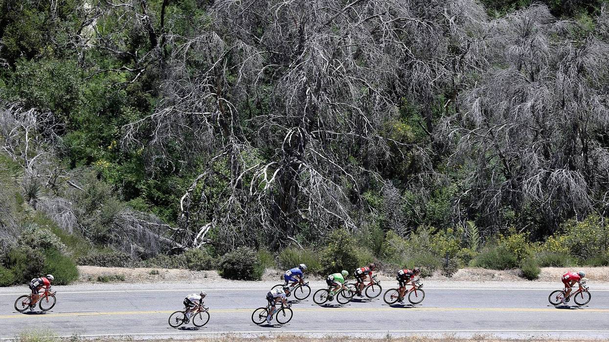 amgen tour
