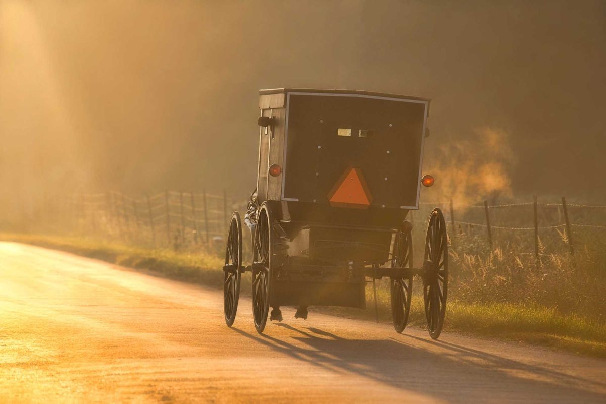 Amish, Buggy, Accident, Injuries