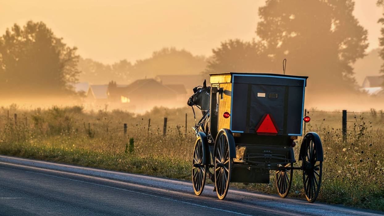 Amish buggy