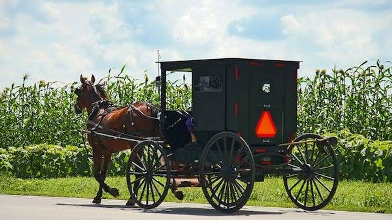 Amish horse and carriage
