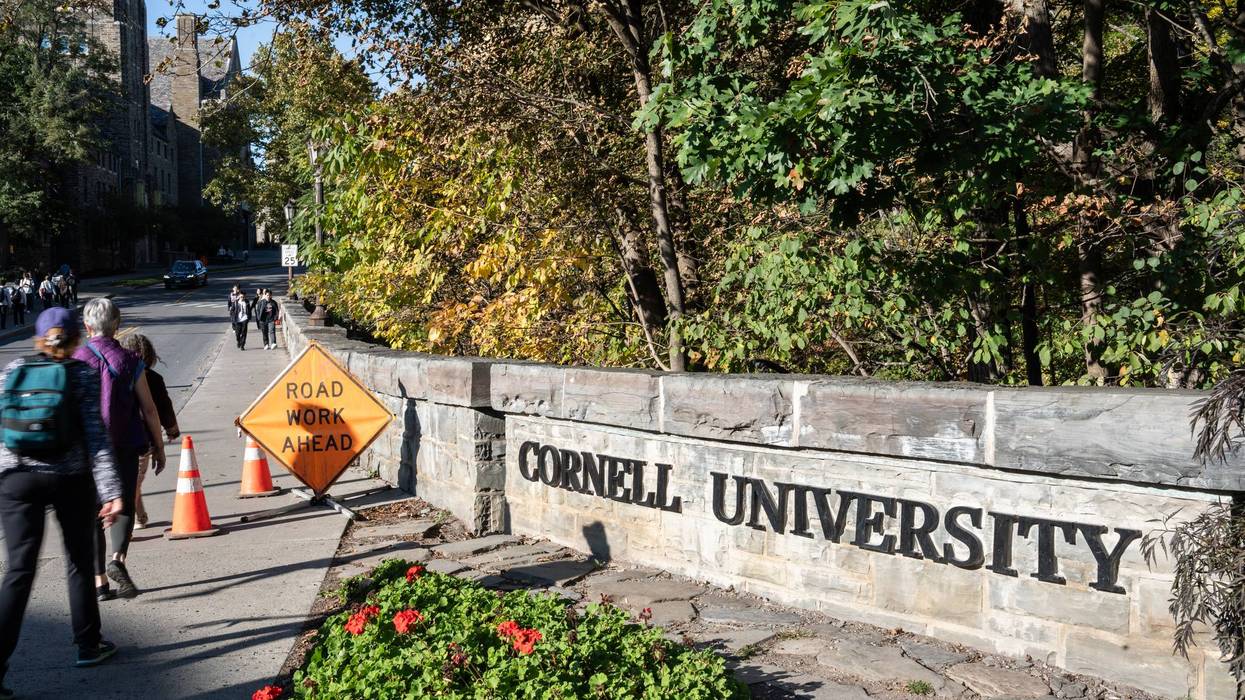 AMN-GEN CORNELL-UNIVERSIDAD-INVESTIGACIÓN 9168