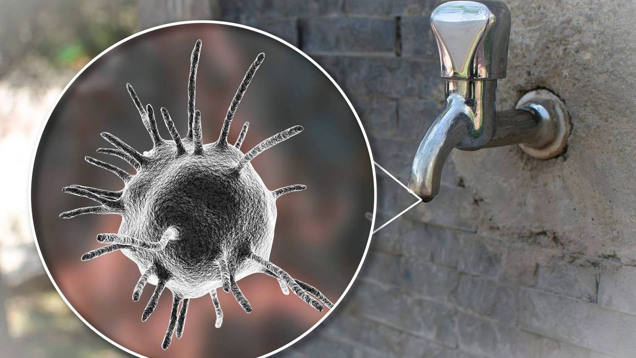 Amoeba in Water