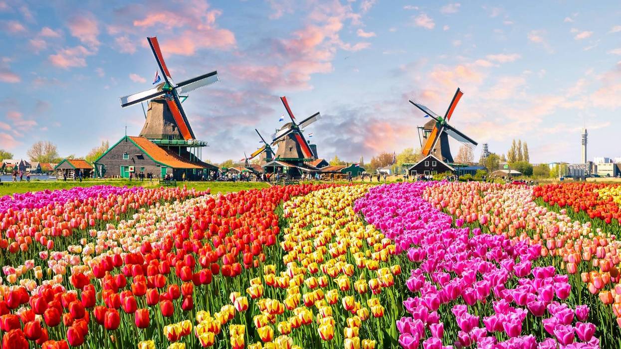 amsterdam