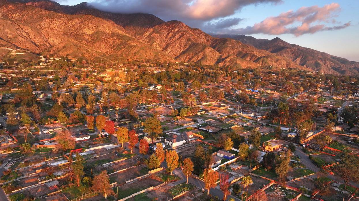 An aerial view of surviving trees amid cleared lots where homes were destroyed by the Eaton Fire nearly one year ago as rebuilding efforts continue on December 27, 2025 in Altadena, California.