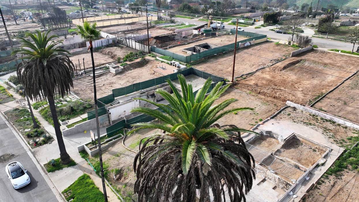 An aerial view of surviving trees and cleared lots where homes were destroyed by the Palisades Fire nearly one year ago on December 22, 2025 in Pacific Palisades, California. J
