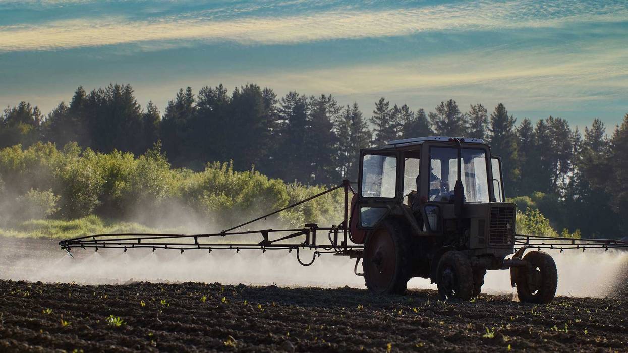 An aerosol cloud behind farm tractor spraying herbicides in potato field.
