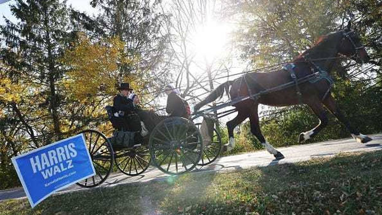 An Amish buggy rides past a Democratic presidential nominee, U.S. Vice President Kamala Harris campaign sign on November 03, 2024 in Lititz, Pennsylvania.