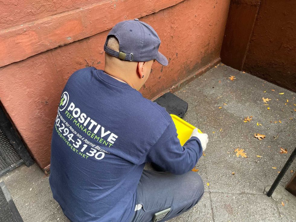 An exterminator manages a rat trap.