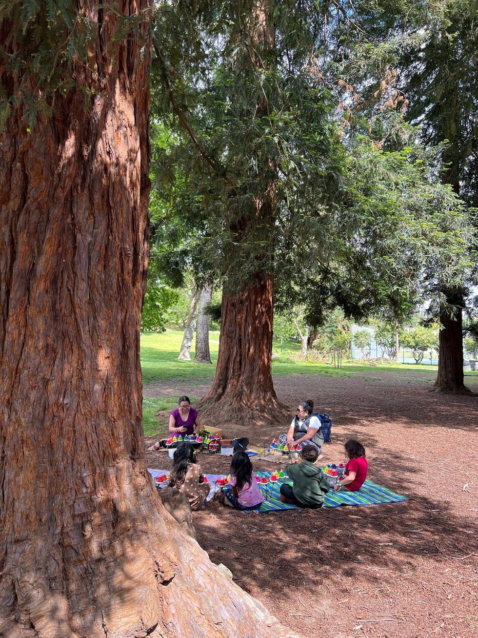 An impromptu music class in Dimond Park is just one of the volunteer-based school sessions available amid the Oakland walkout.