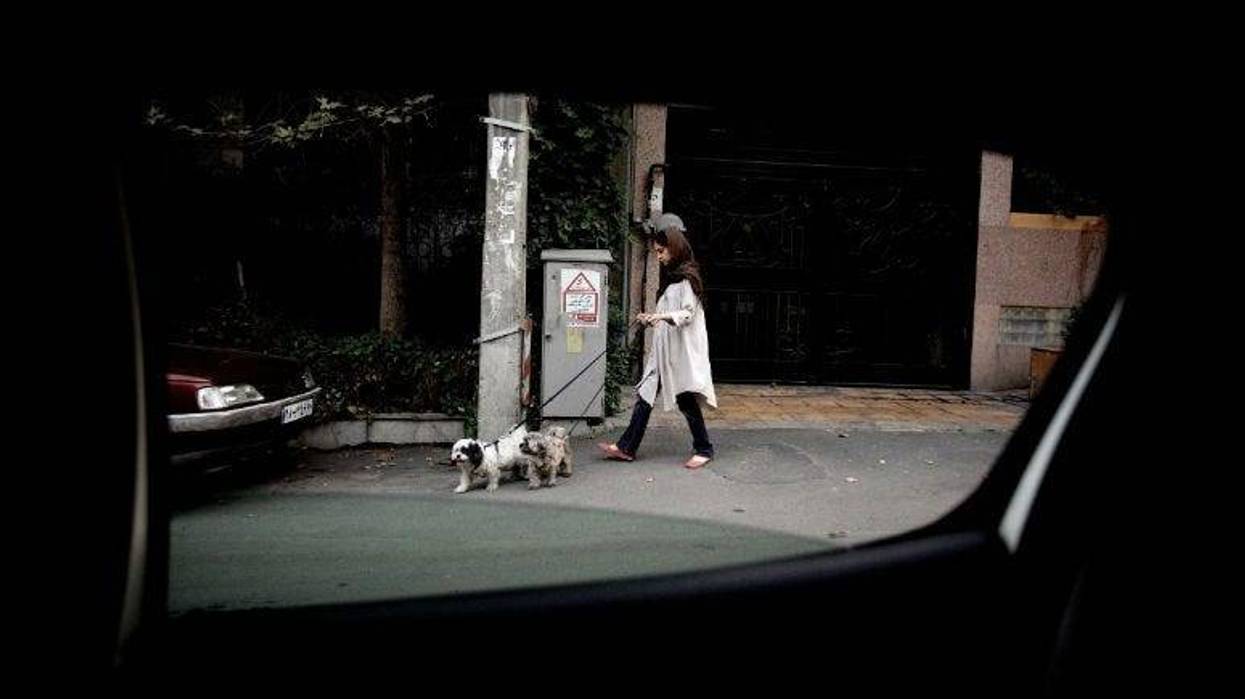 An Iranian woman walks her dogs in Tehran's wealthy Elahiyeh district in 2013.
