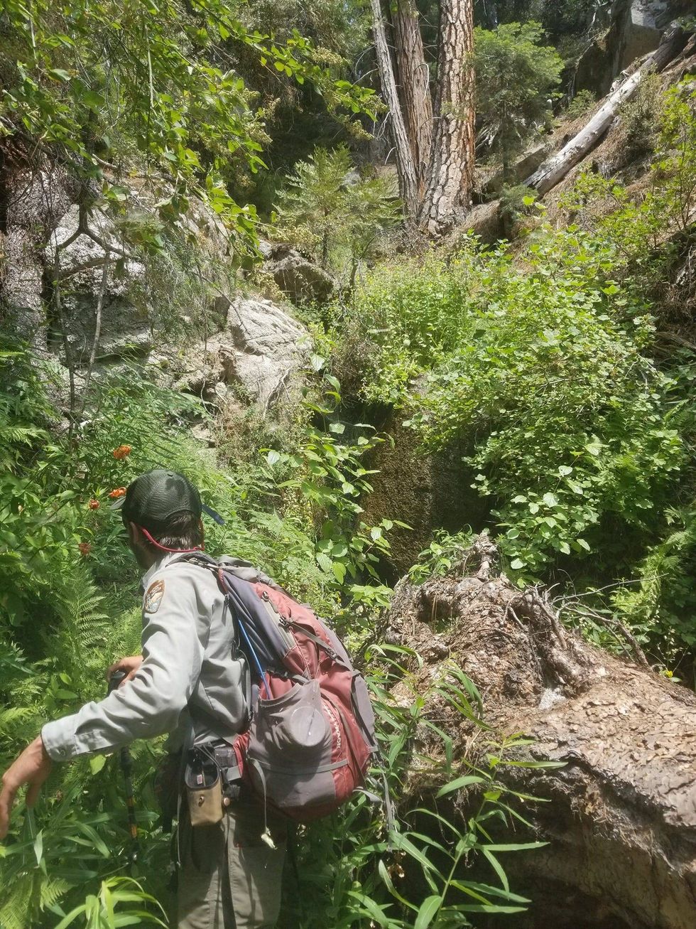 An NPS ground searcher navigates challenging terrain in the search for Matthew Thoke.