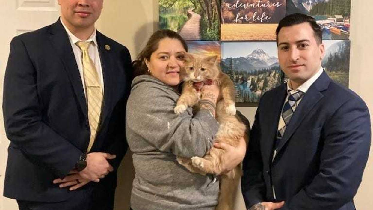 An Oceanside woman was reunited with her ginger cat Toby after the feline was stolen from her driveway in February