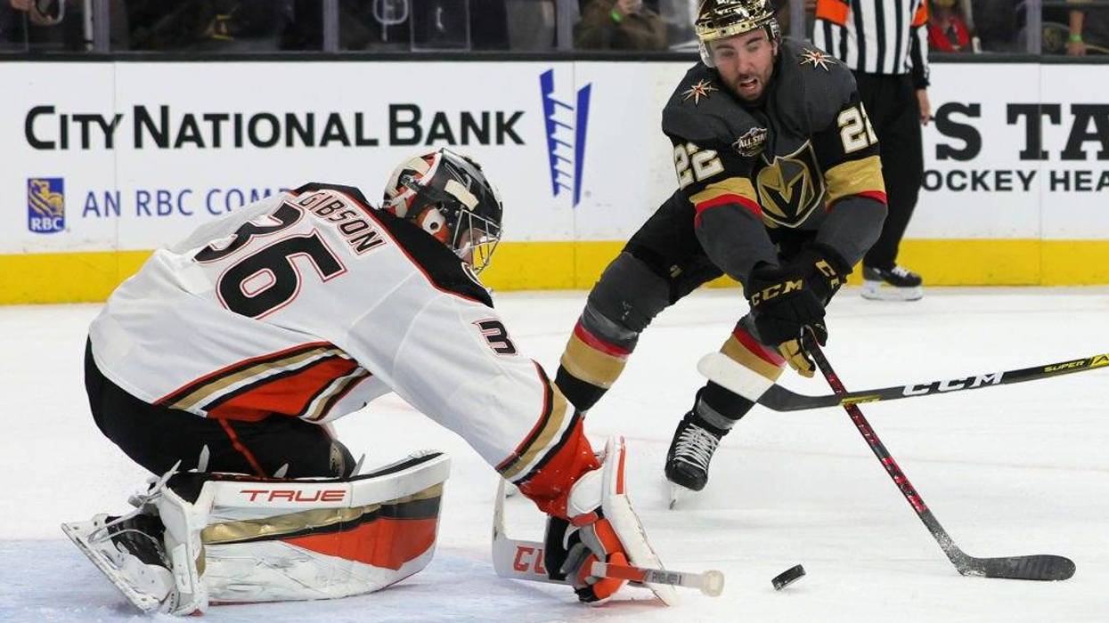Anaheim Ducks game.