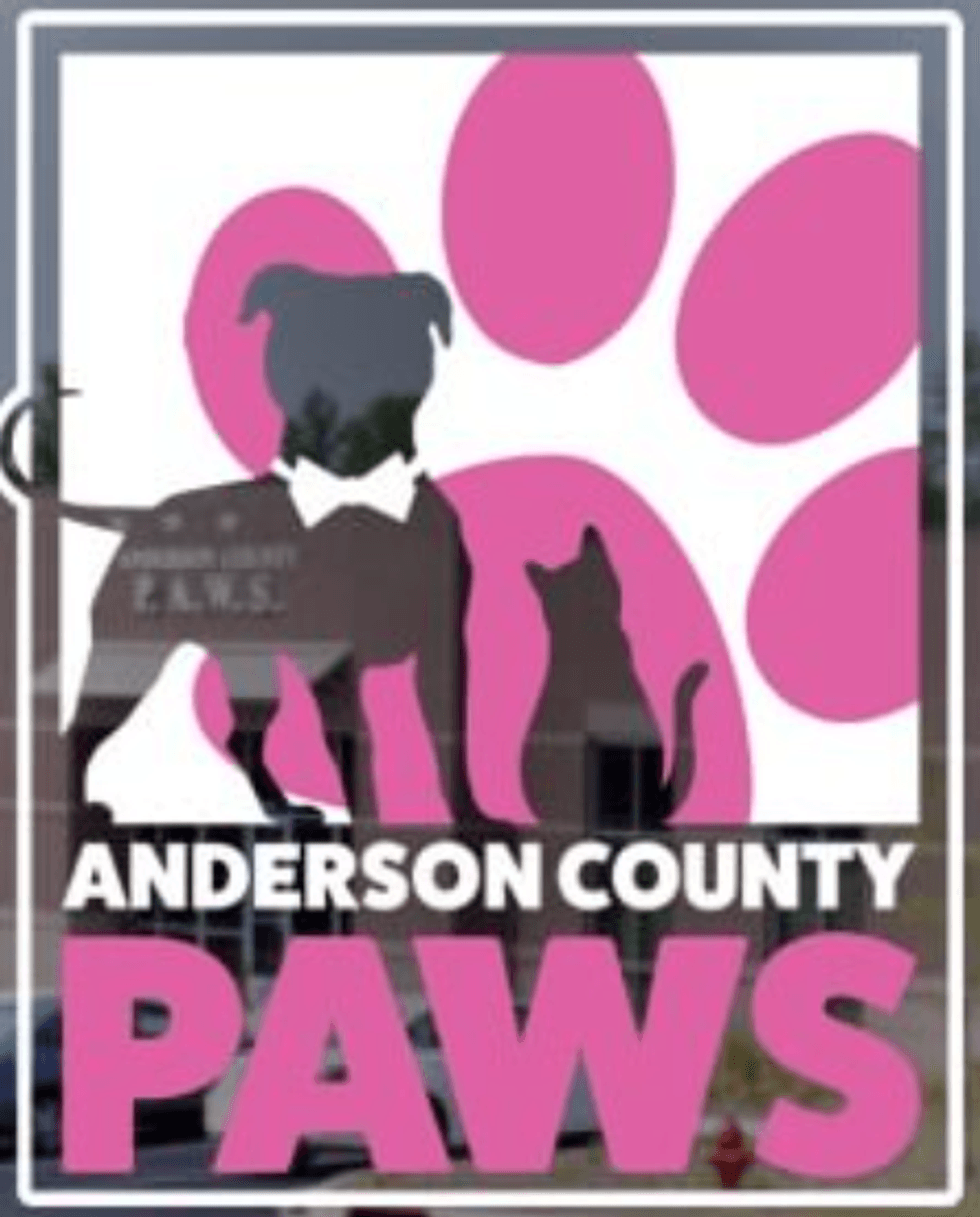 Anderson County P.A.W.S.