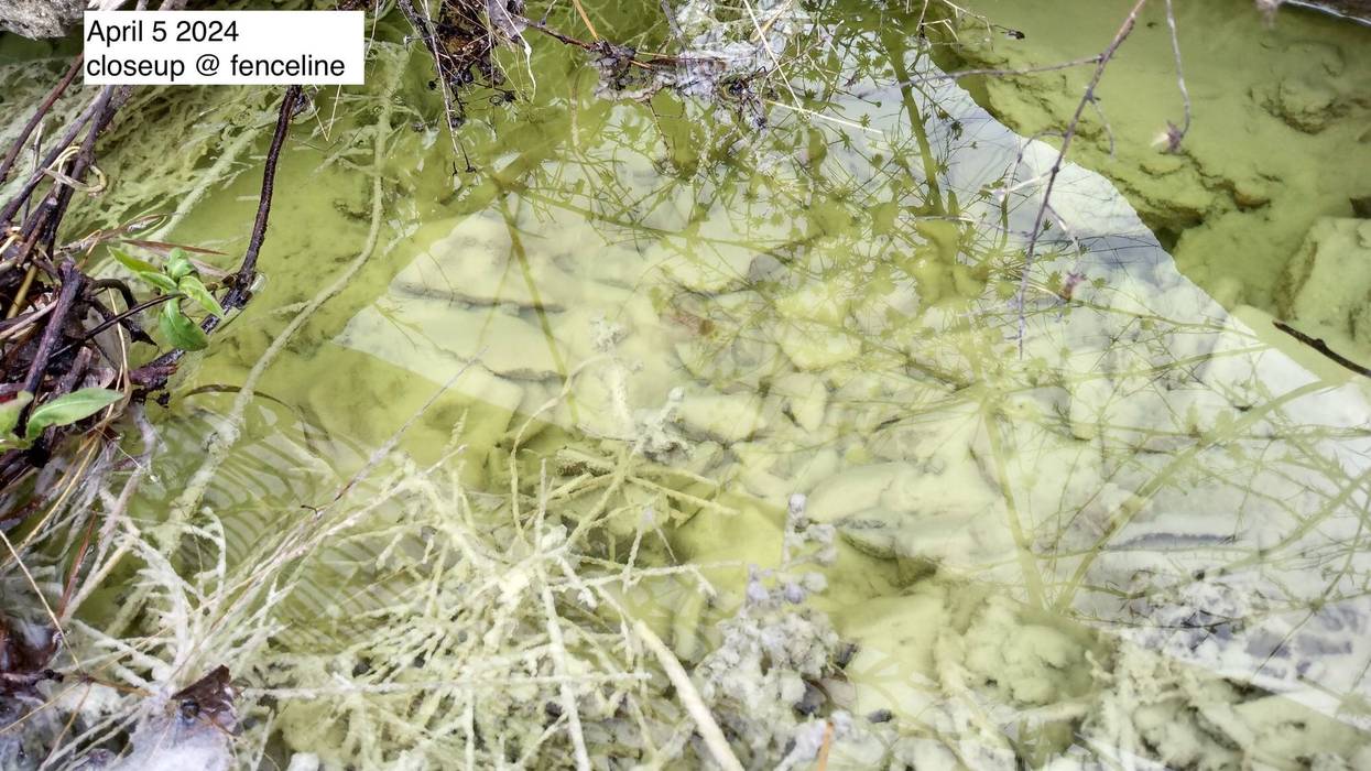 Andy Switzer discovered unusual runoff at Bartram's Garden, dated April 5, 2024, and reported it to the Pennsylvania Department of Environmental Protection.