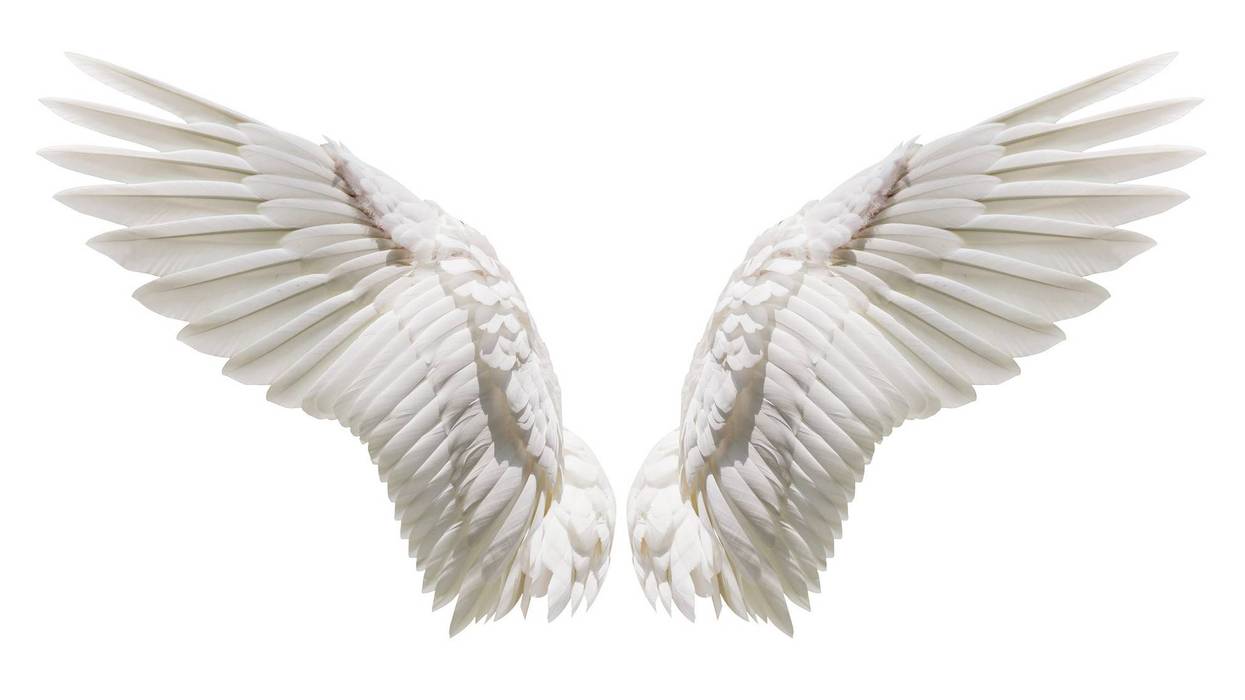 Angel