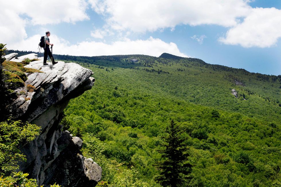 Angela Wilhelm-USA TODAY NETWORK