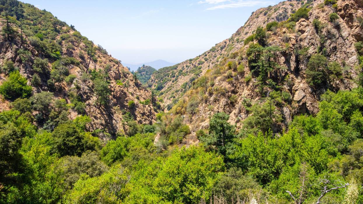 Angeles National Forest