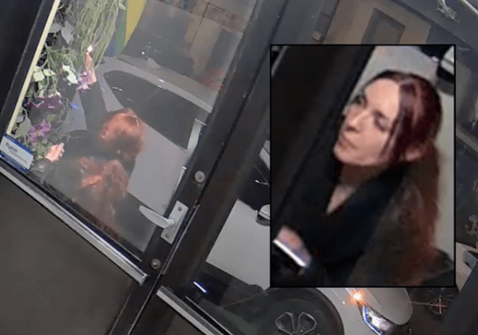 Angelina Cando was captured on surveillance video in February setting fire to the Pride flag at the at Little Prince restaurant in SoHo.