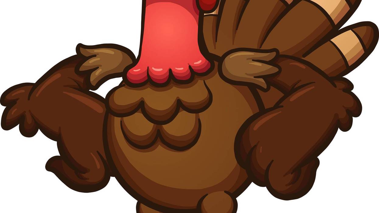 angry turkey