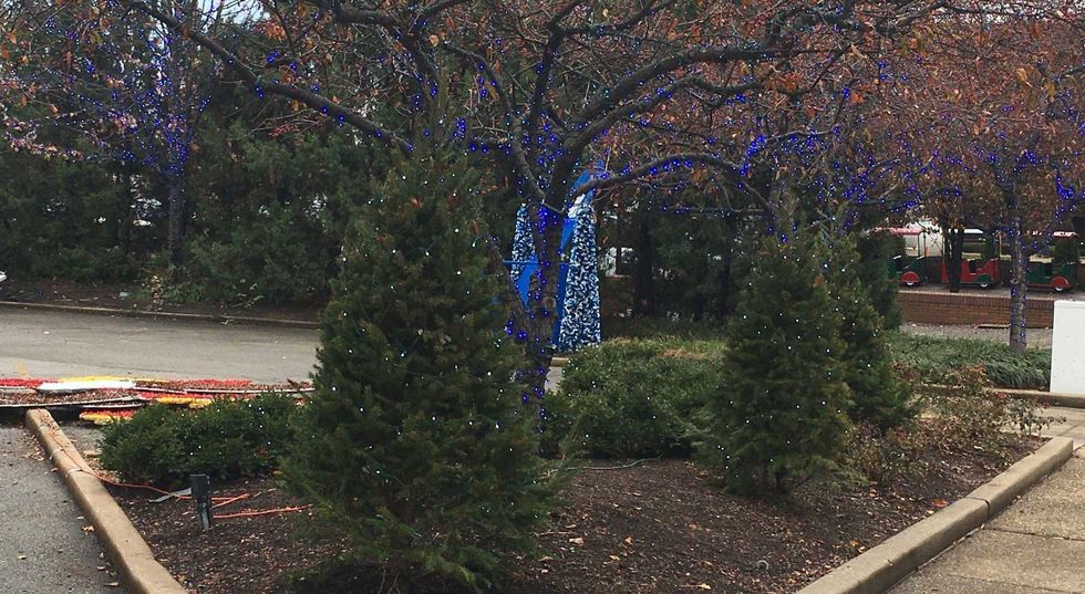 Anheuser-Busch Brewery Lights