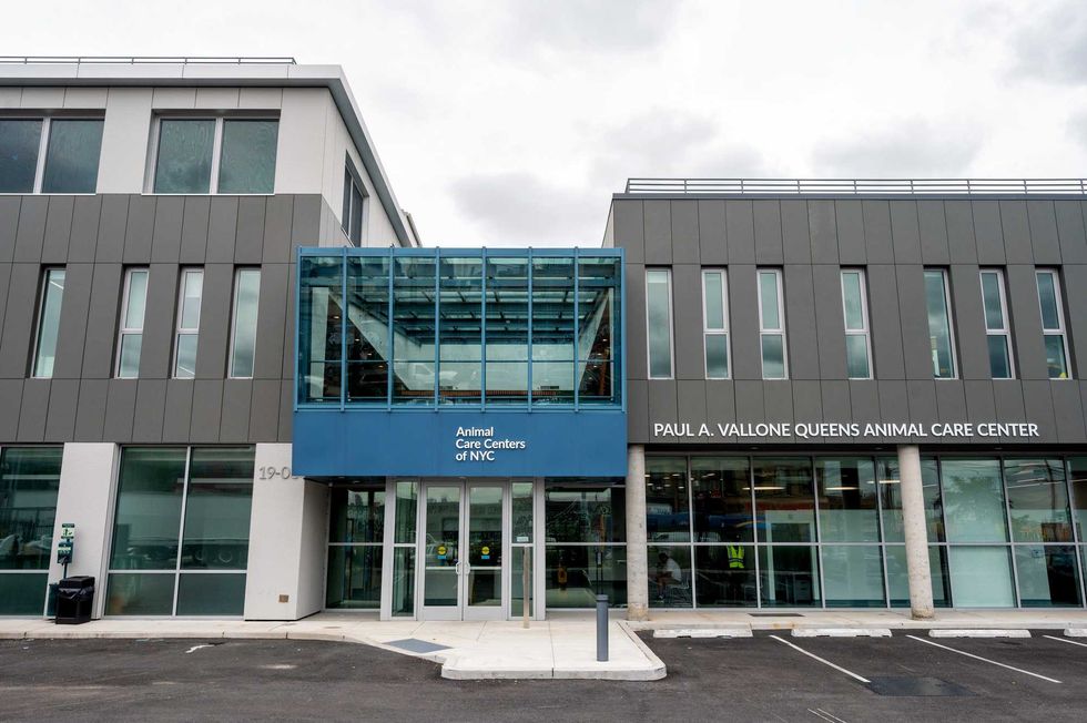 Animal Care Centers of NYC