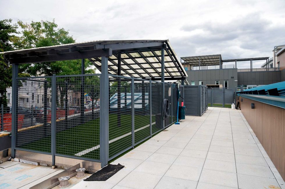 Animal Care Centers of NYC