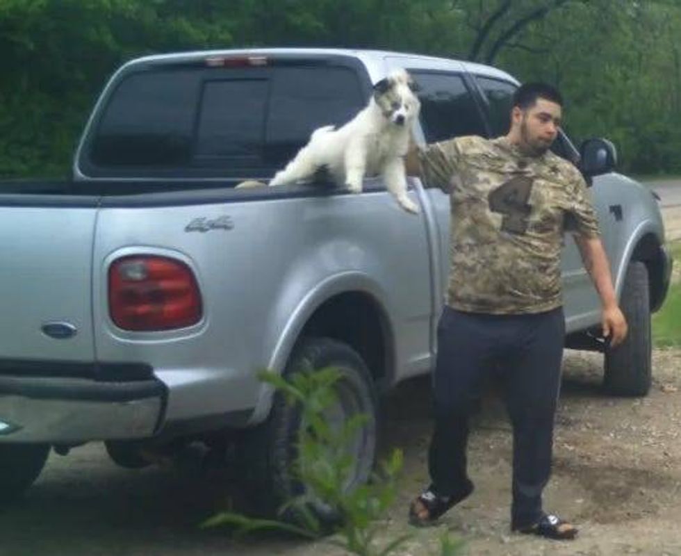 Animal Cruelty Suspect