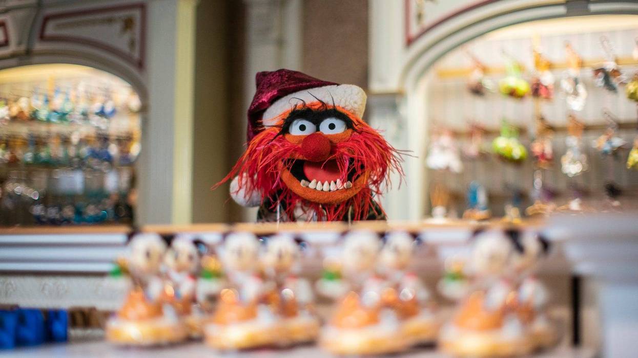 Animal from The Muppets