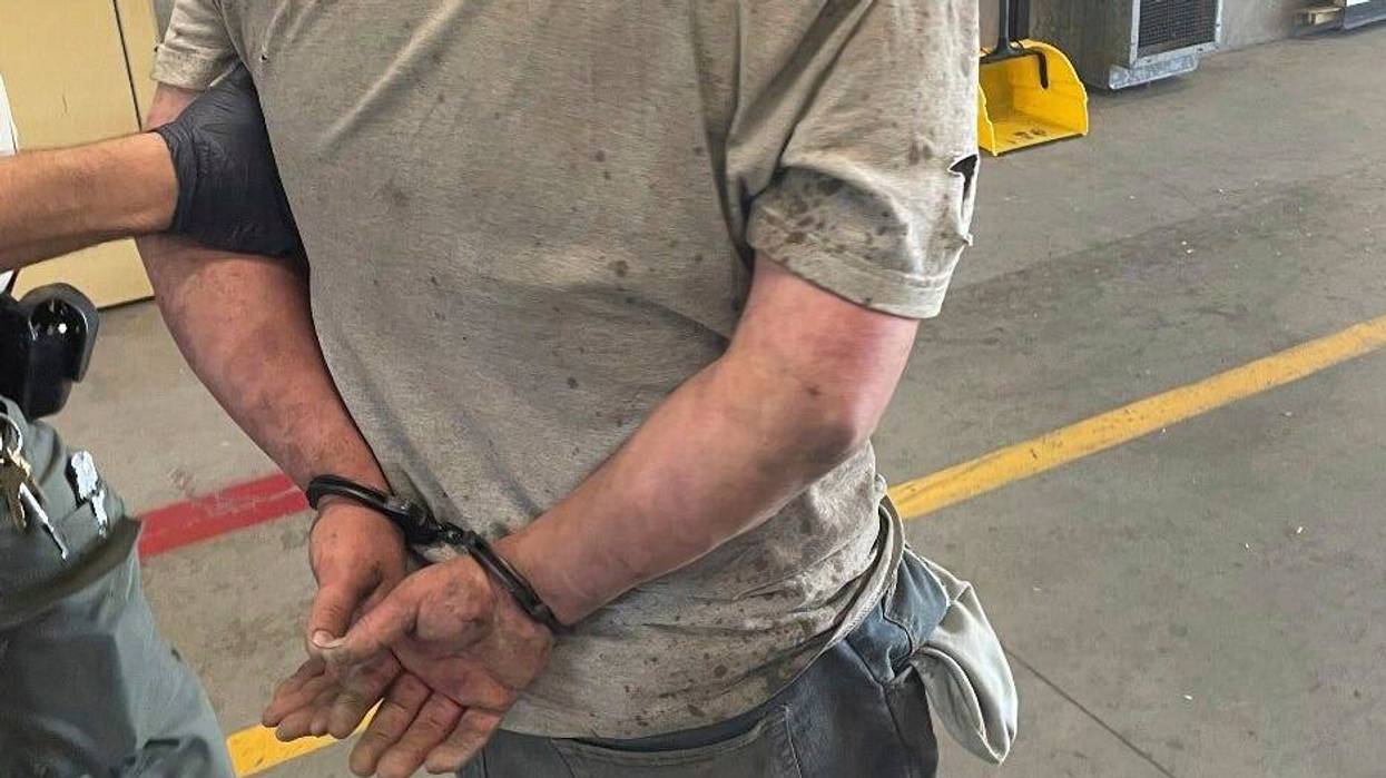 Animal Massacre Man Arrested