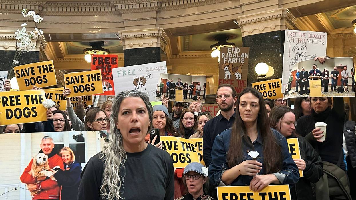 Animal Rights Protest Wisconsin