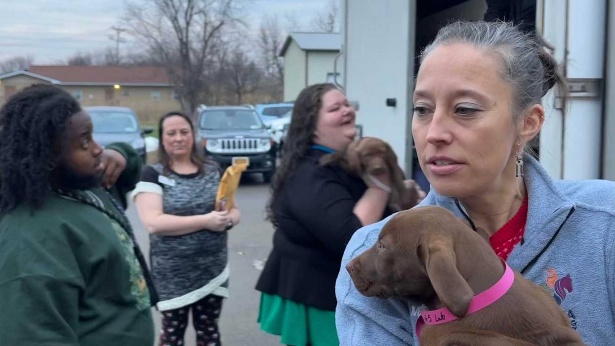 Animal transport arrives at the SPCA Serving Erie County with 20 dogs