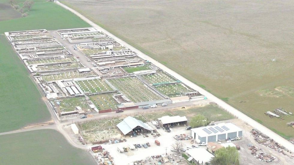 Animal Wellness Action used a drone camera to gather aerial footage of lots at Corpus