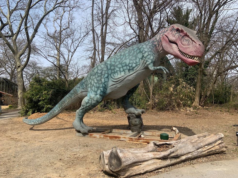 Animatronic dinosaur at the Philadelhia Zoo