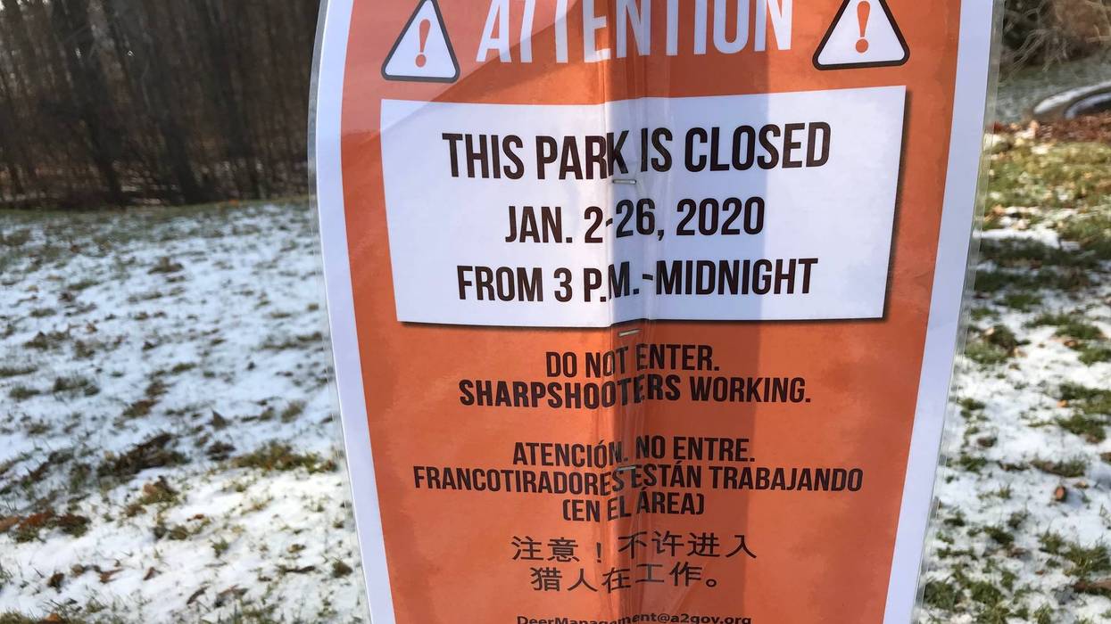 Ann Arbor deer cull