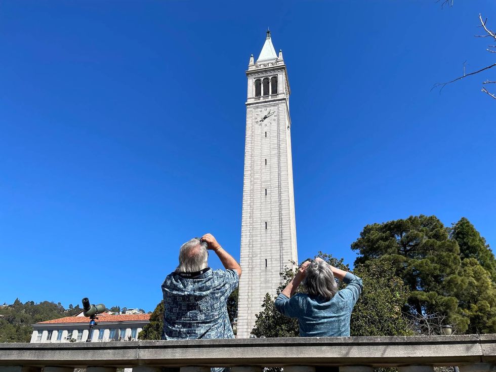 Annie and Grinnell sit high about UC Berkeley