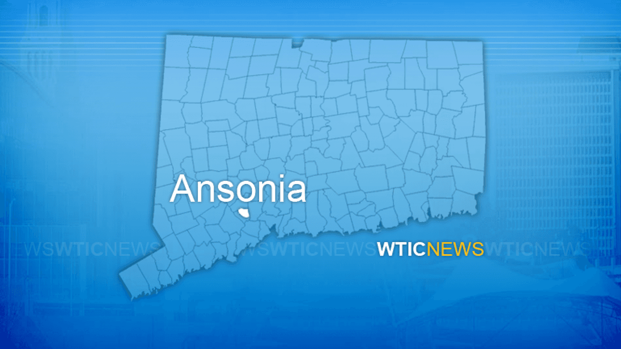 Ansonia