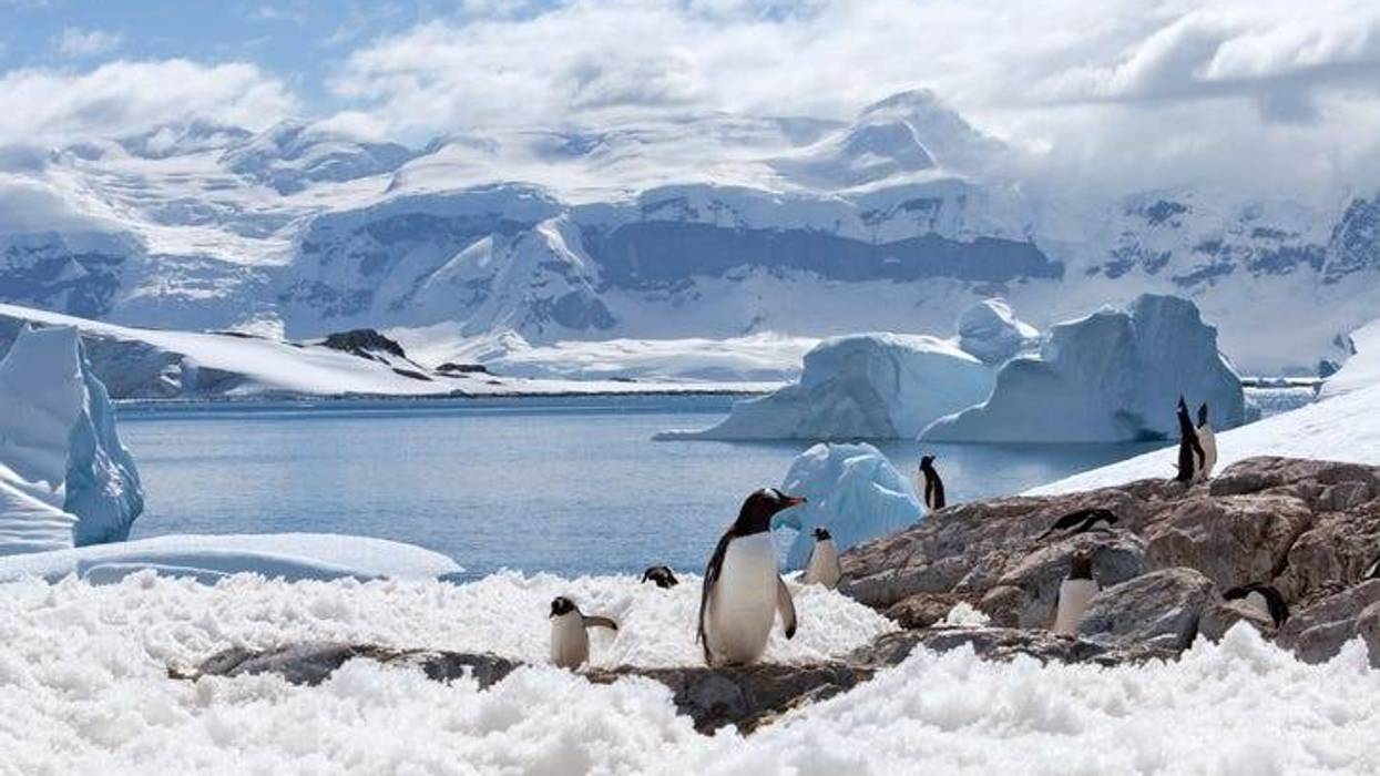 Antarctic